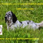 TAN Champagne-Ardenne à Somme-Suippe (51), le 09/08/2025