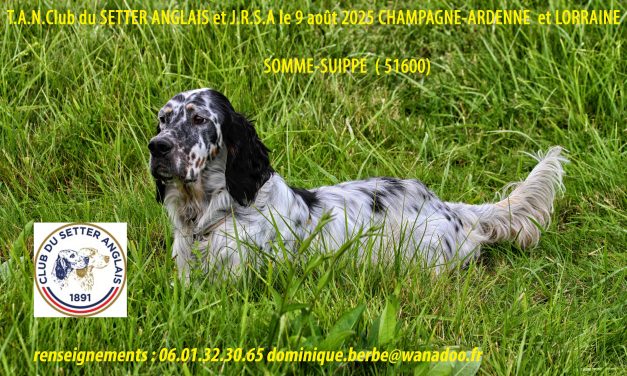 TAN Champagne-Ardenne à Somme-Suippe (51), le 09/08/2025