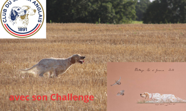 TAN du Lot-et-Garonne le 27/07/2025