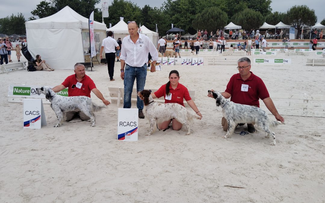 Résultats de l’exposition de Lamotte-Beuvron (Game Fair) du 14/06/2025