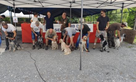 Résultats TAN de Villetoureix (24) du 19/07/2025