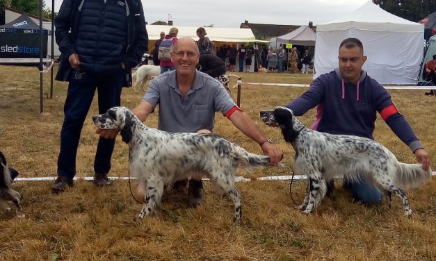 Résultats de l’exposition de Sigogne du 06/07/2025