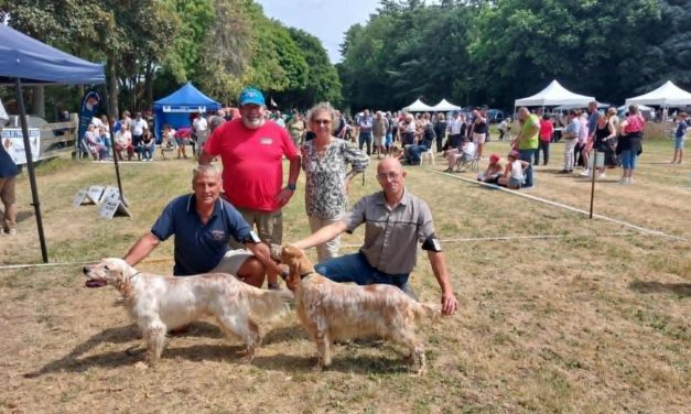Résultats de l’exposition de Maltot (14) du 14/07/2025
