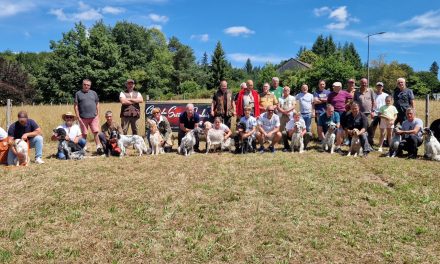 Résultats du TAN de Saint-Hilaire-les-Courbes (19) du 03/08/2025