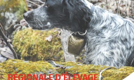 Régionale d’élevage à Saint-Fiacre (22) le 30/11/2025