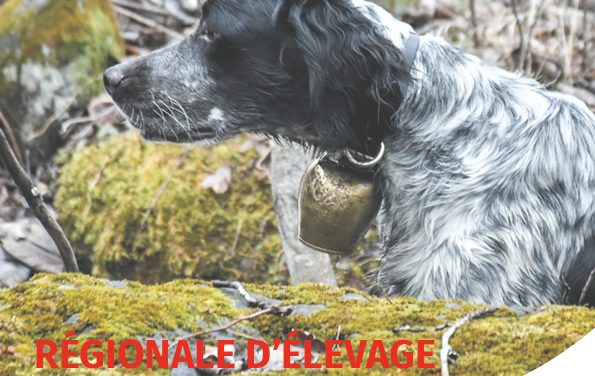 Régionale d’élevage à Saint-Fiacre (22) le 30/11/2025