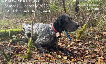 TAC de Plounérin (22) le 11/10/2025