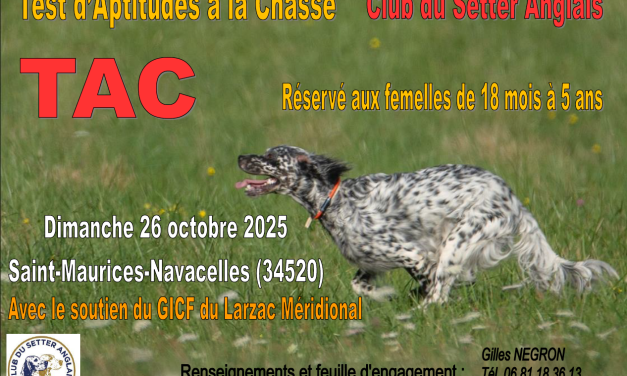 TAC de Saint-Maurice-Navacelles (34) le 26/10/2025