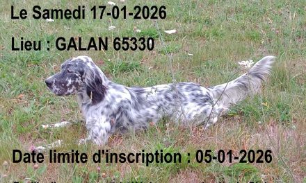 TAC à Galan (65) le 17/01/2026