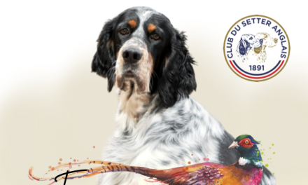 Nationale d’élevage 2026 : pensez à vous inscrire !