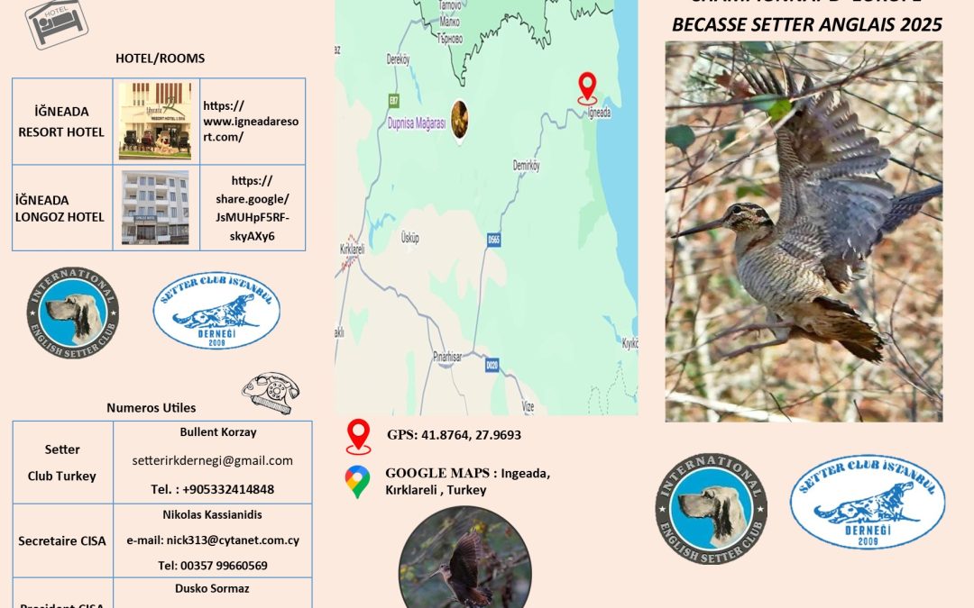 Championnats d’Europe bécasse 2025 (Turquie) : le programme