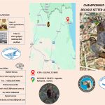 Championnats d’Europe bécasse 2025 (Turquie) : le programme