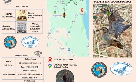 Championnats d’Europe bécasse 2025 (Turquie) : le programme