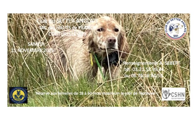 TAC des Hauts-de-France samedi 15/11/2025