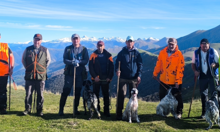 Résultats Bécasse Iraty 08 et 09 novembre 2025