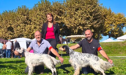 Résultats de l’exposition de Langon (33) du 12/10/2025