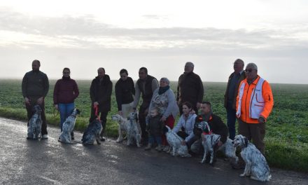 Résultats du TAC de Couturelle (62) du samedi 15 novembre 2025