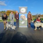 Résultats de la régionale d&rsquo;élevage de Saint-Fiacre (22) du 30/11/2025