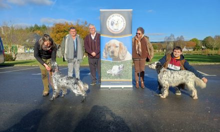 Résultats de la régionale d’élevage de Saint-Fiacre (22) du 30/11/2025