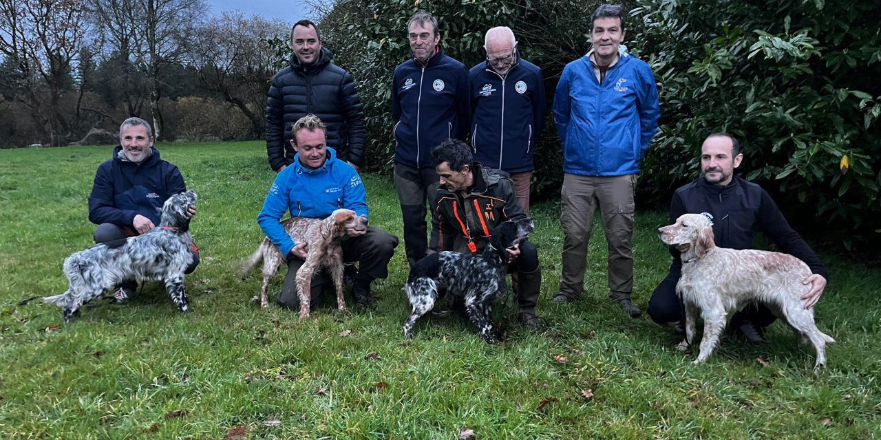 Résultats concours bécasse Nord-Bretagne 11/12/2025