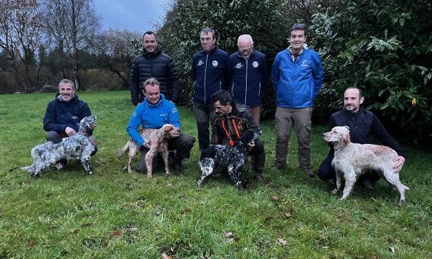 Résultats concours bécasse Nord-Bretagne 11/12/2025