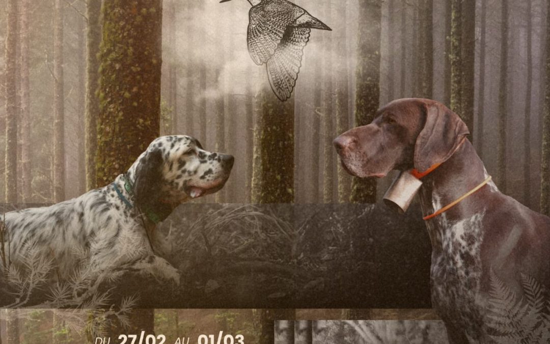 Concours Bécasse de Nolay