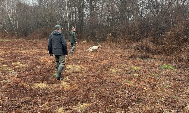 Résultats du TAC de Galan (65) du samedi 17 janvier 2026