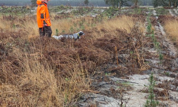 Résultats du TAC et du TAN de Mounicq (47) du 10/01/2026
