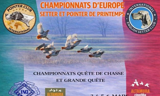 Championnats d&rsquo;Europe printemps 2026 : le programme