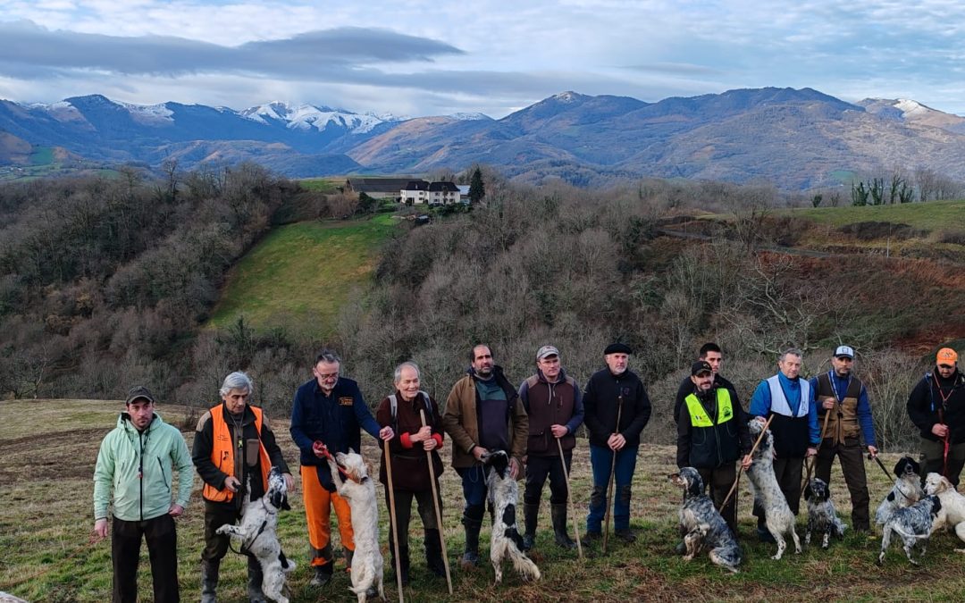 Basaburua : résultats du concours bécasse du 01/02/2026