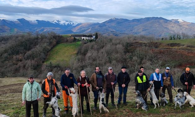 Basaburua : résultats du concours bécasse du 01/02/2026