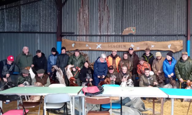 Résultats des concours bécassine de Bouée (44) des 14 & 15/02/2026