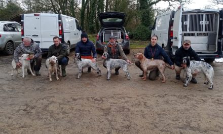 TAC de Klesseven (22) du 31/01/2026