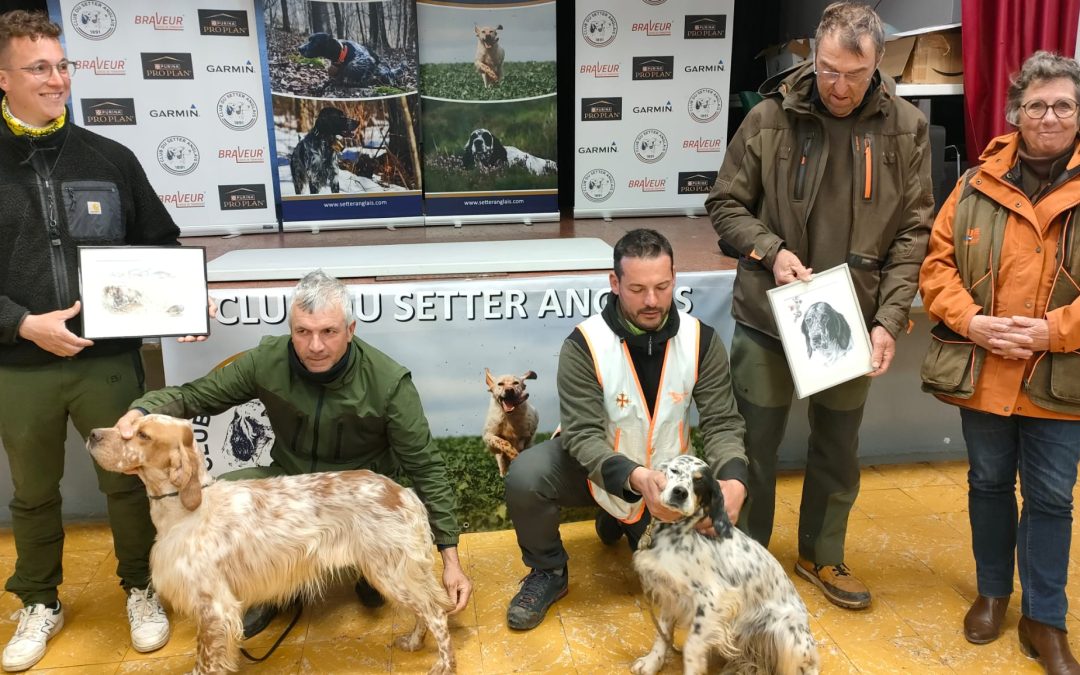 Prix C. Defreneix & meilleurs setters anglais de la semaine anglaise 2026