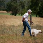 Bonne « retraite » cynophile à Patrice Maffre-Baugé