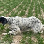 Résultats du concours de Chilly (80) du 22 mars 2026