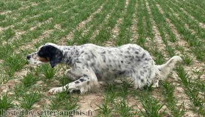 Résultats du concours de Chilly (80) du 22 mars 2026