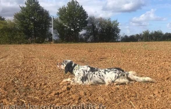 Résultats du concours de Fienvillers (80) du 24 mars 2026