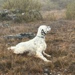 Résultats du concours de Champien (80) du 23 mars 2026