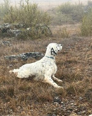 Résultats du concours de Champien (80) du 23 mars 2026