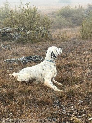 Résultats du concours de Champien (80) du 23 mars 2026