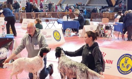 Résultats de la spéciale d&rsquo;Amiens (80) du 26 avril 2026