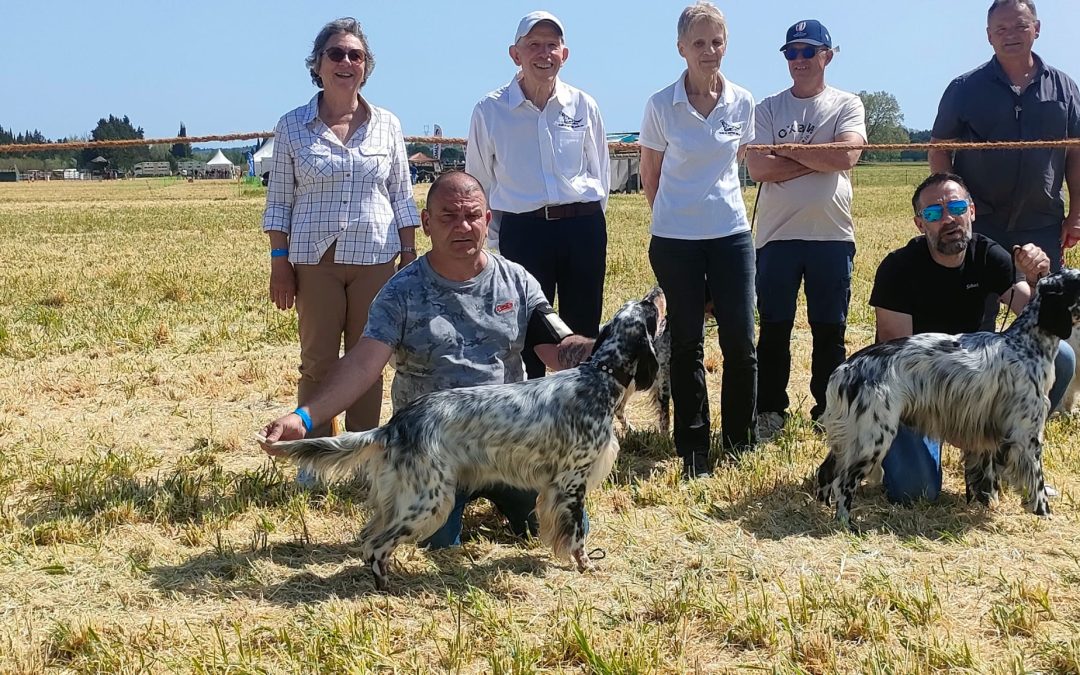 Résultats de la régionale d&rsquo;élevage de Maillane (13) du 11/04/2026