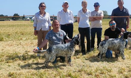 Résultats de la régionale d&rsquo;élevage de Maillane (13) du 11/04/2026