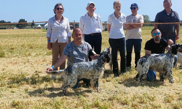 Résultats de la régionale d&rsquo;élevage de Maillane (13) du 11/04/2026