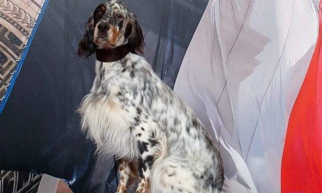 Résultats de la régionale d&rsquo;élevage de Maillane (13) du 11/04/2026