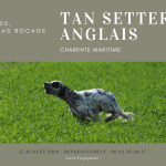 Allas-Bocage (17) : TAN samedi 25 juillet 2026
