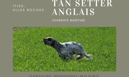 Allas-Bocage (17) : TAN samedi 25 juillet 2026