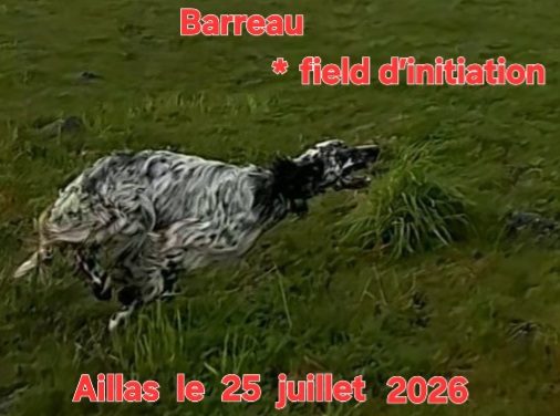 Aillas (33) : TAN samedi 25 juillet 2026