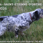 Saint-Étienne-d&rsquo;Orthe (40) : TAN & JRSA les 8 et 9 août 2026